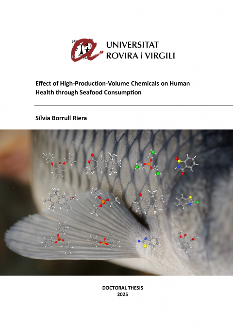 DEFENSA TESI DOCTORAL - Sílvia Borrull Riera